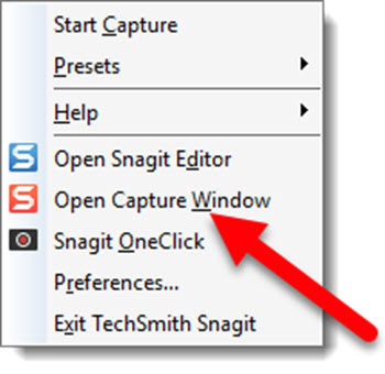 keep cursor in snagit screen capture